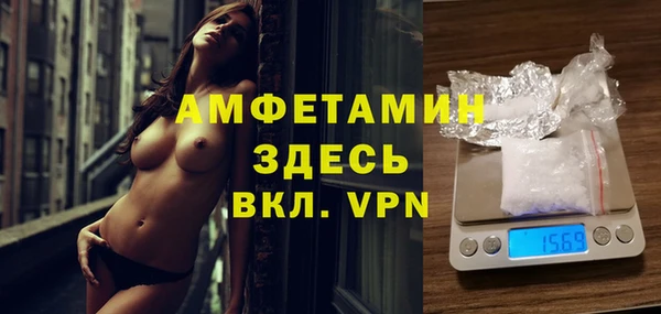 прущие крисы Болотное