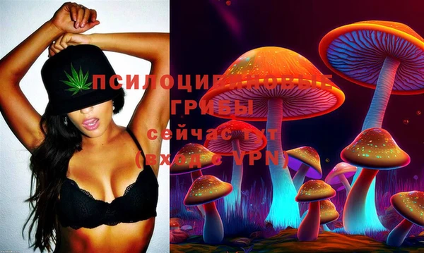 MESCALINE Нефтекумск