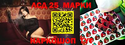шишки Камышлов