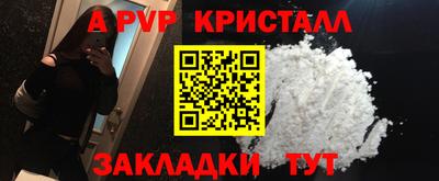 шишки Камышлов