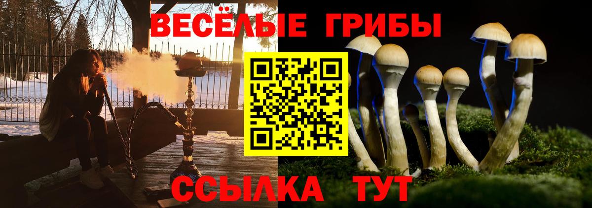 Псилоцибиновые грибы Psilocybine cubensis  закладки  Салават 